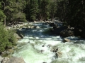 Yosemite NP